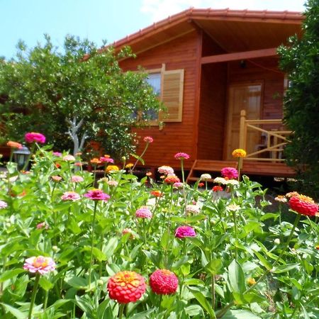 Ugur Pansiyon Bungalows Çıralı Chambre photo