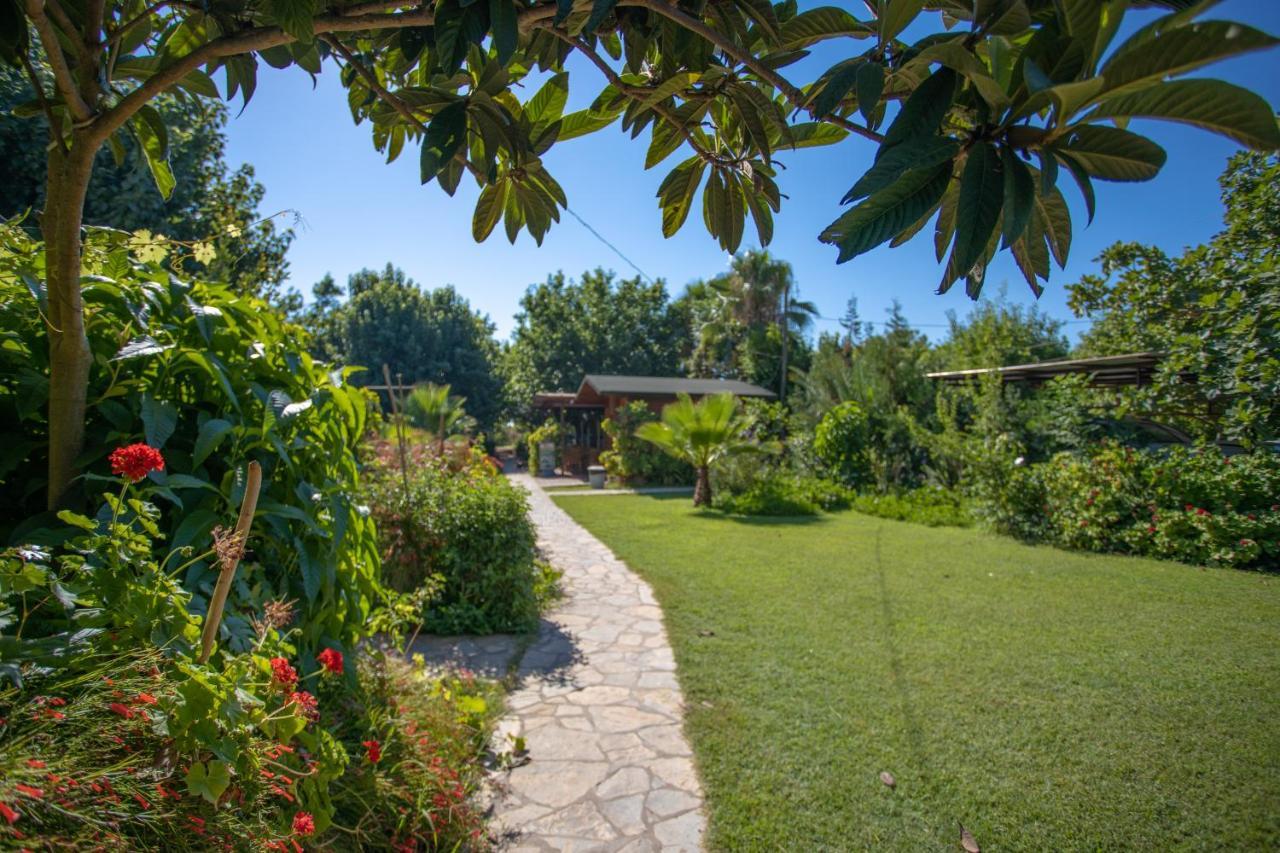 Ugur Pansiyon Bungalows Çıralı Extérieur photo