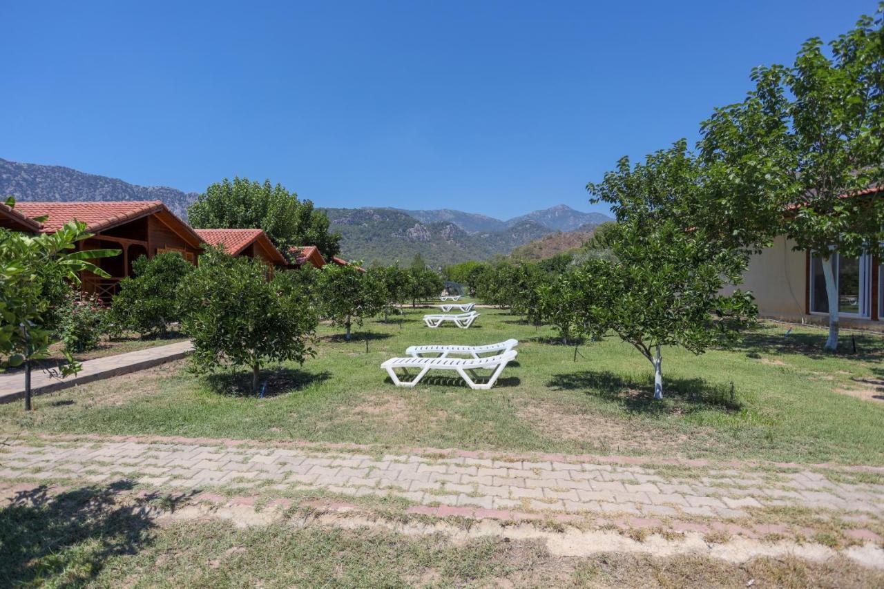 Ugur Pansiyon Bungalows Çıralı Extérieur photo