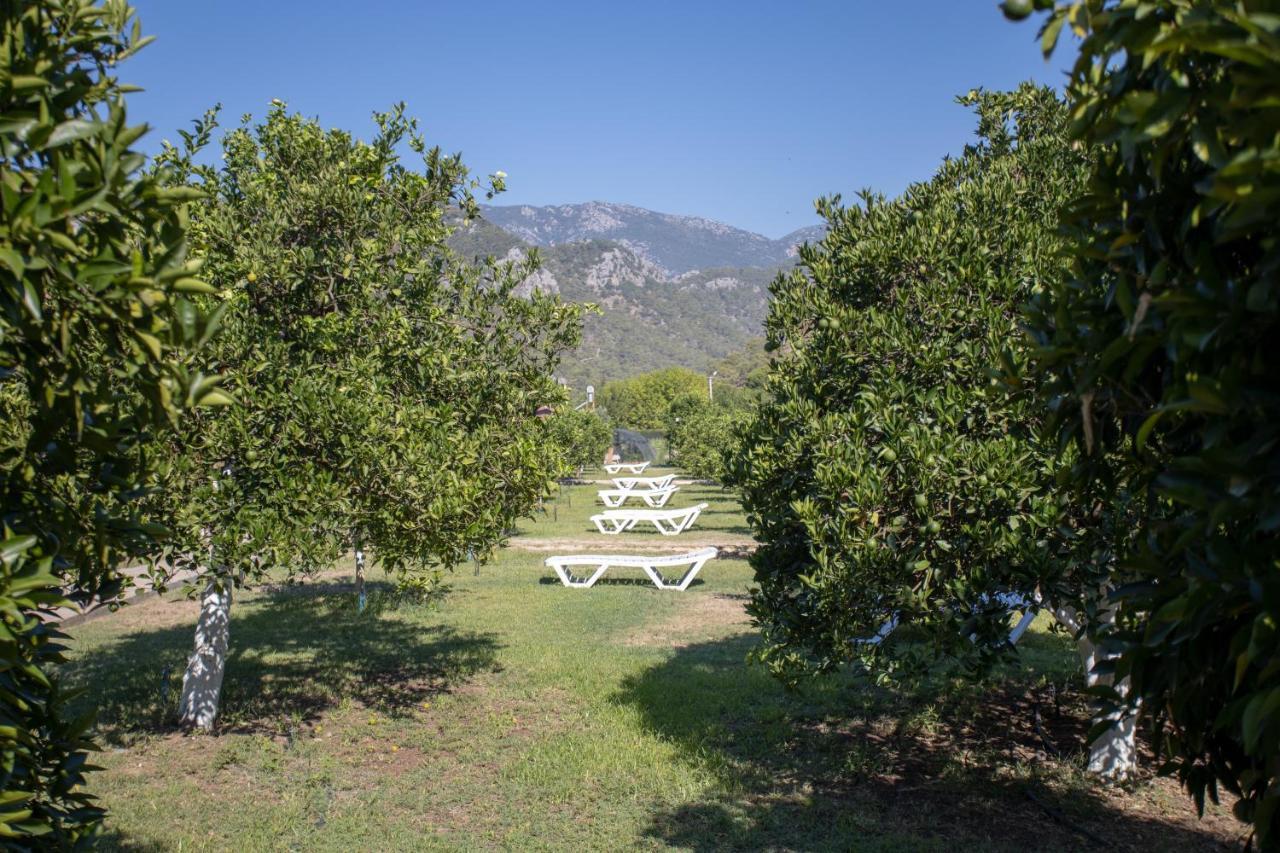 Ugur Pansiyon Bungalows Çıralı Extérieur photo