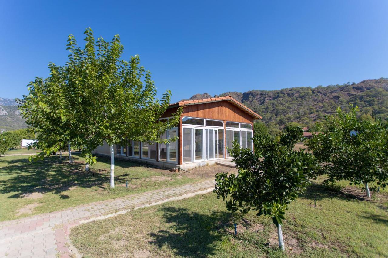 Ugur Pansiyon Bungalows Çıralı Extérieur photo