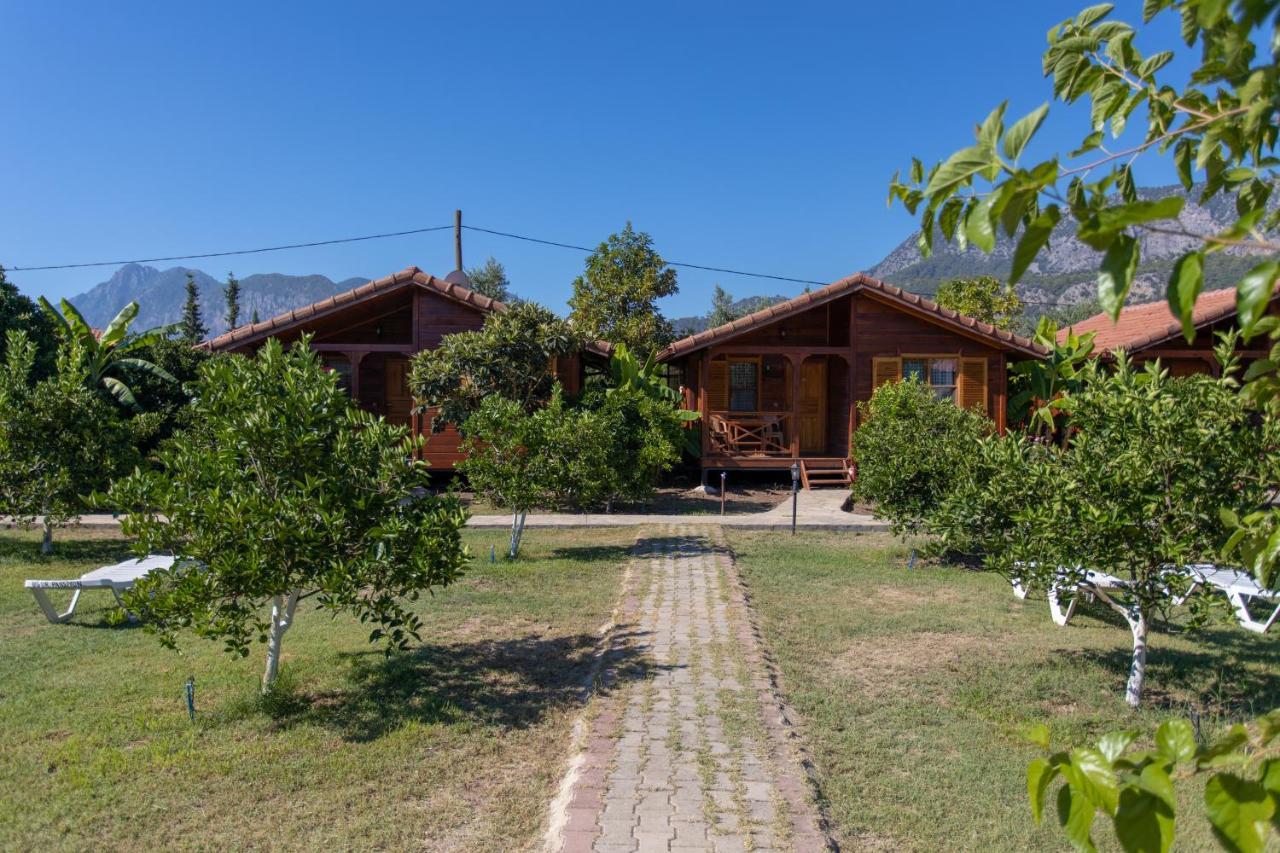 Ugur Pansiyon Bungalows Çıralı Extérieur photo