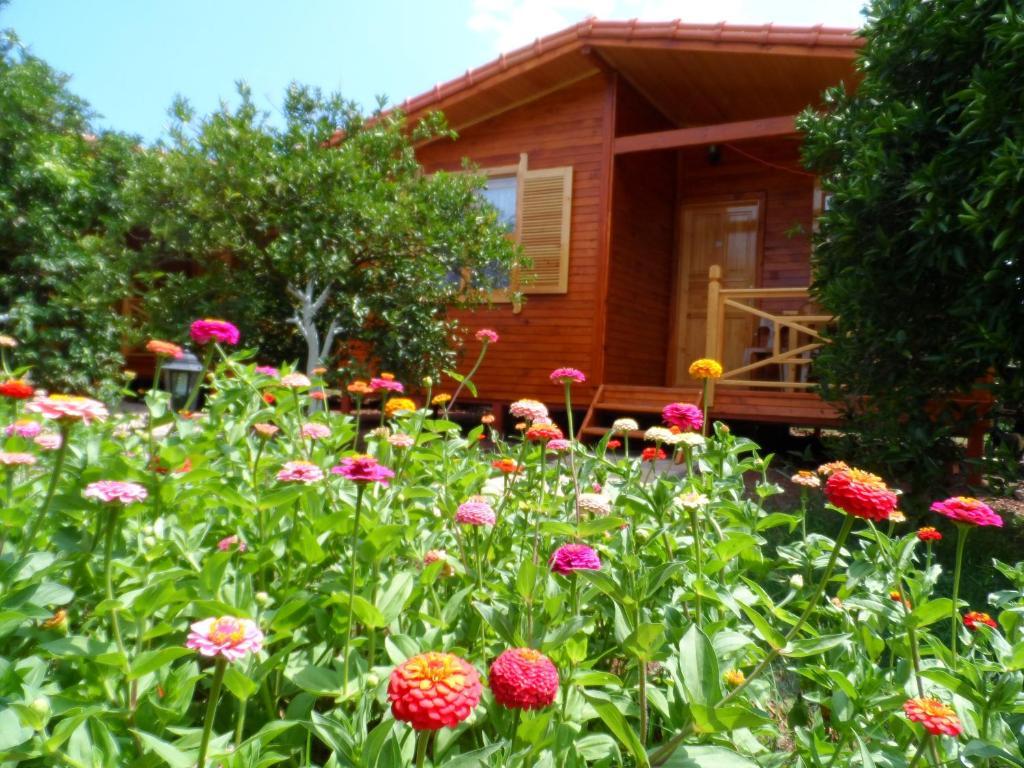 Ugur Pansiyon Bungalows Çıralı Chambre photo